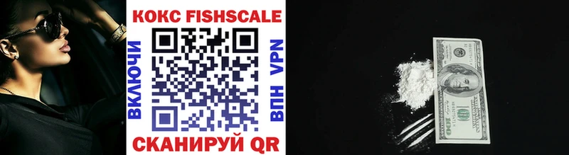 Cocaine FishScale  Купить где  Магадан 