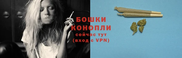 гидропоника Заводоуковск
